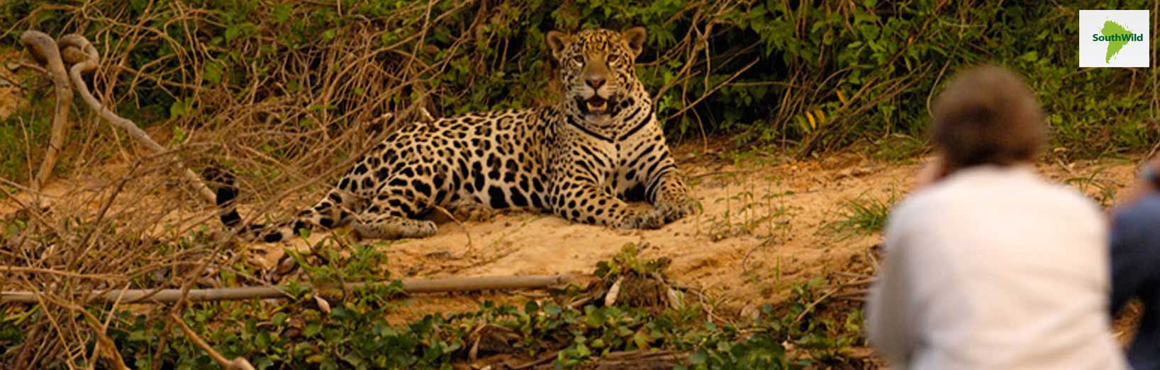JPS Luxury Safaris The Pantanal